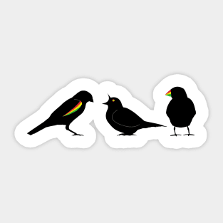 3 little birds Sticker